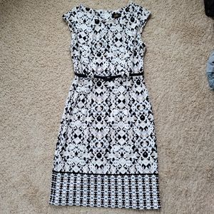 ILE New York Fitted Career Dress Size 6